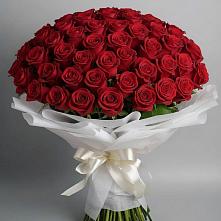 Букет 101 Красная роза Блэк Мэджик в Яблочном