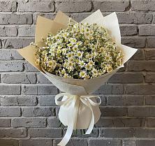 Букет цветов из:  Ромашки #REPLACE_PRED# Яблочном
