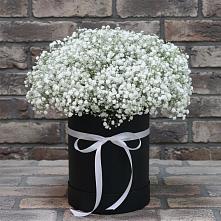 Цветочная композиция из Гипсофила в шляпной коробке в Яблочном