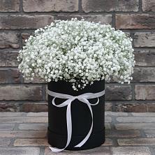Цветочная композиция из Гипсофила в шляпной коробке в Яблочном